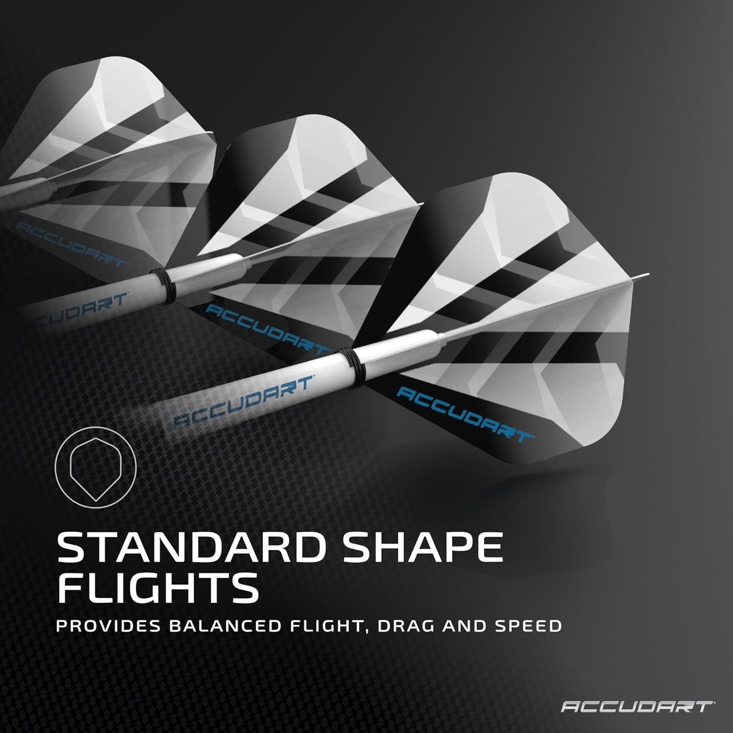 Steel Tip Dart Set 2.0